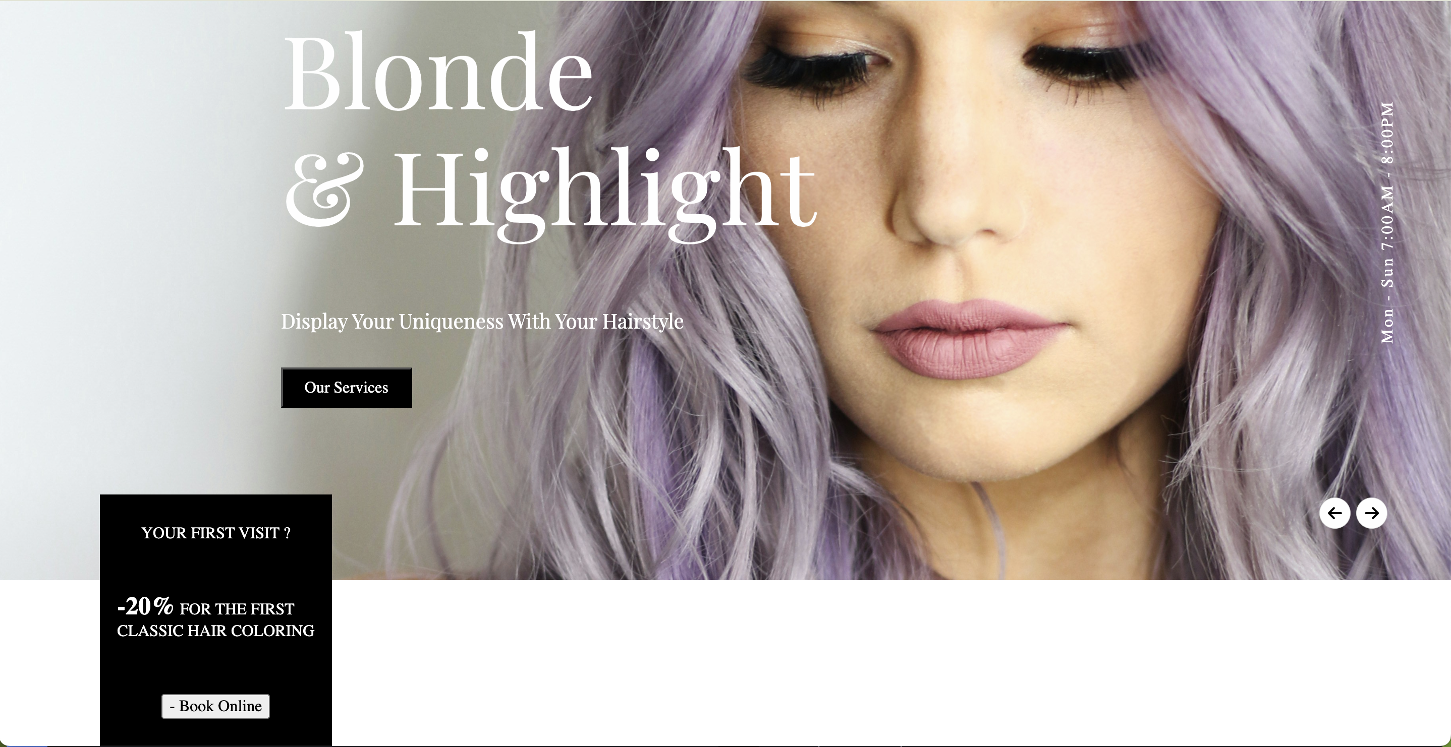 Salon Website preview
